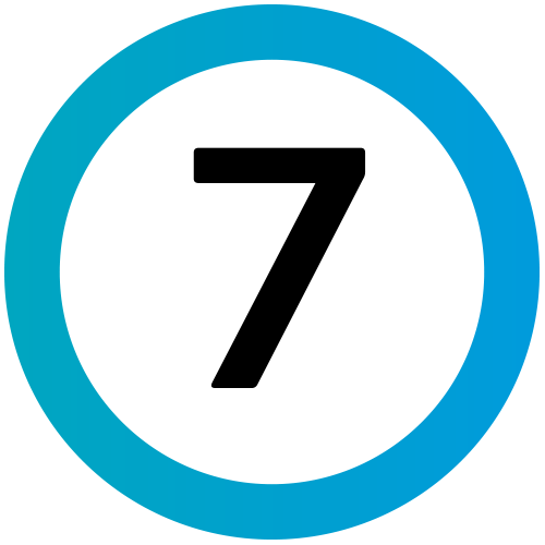 icono 7